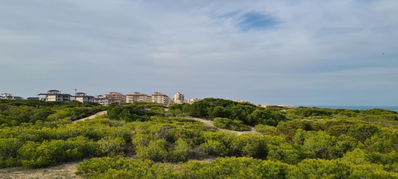 Sofia La Mata Apartment La Mata  Exterior photo